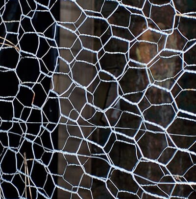 1910040 Image-Chicken_wire.jpg